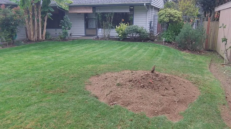 Stump grinding